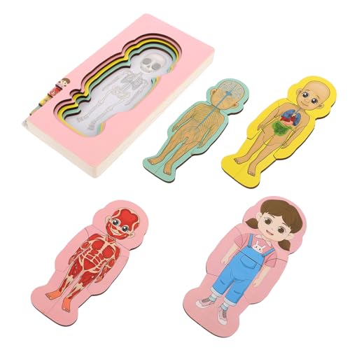 ibasenice Holz-Puzzle-Set Zur Menschlichen Anatomie Früherziehungsspielzeug Für Kinder Jungen Und Mädchen Spielzeug Zur Gehirnentwicklung von ibasenice