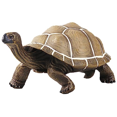 ibasenice Schildkrötenmodell Mini Schildkröten Kleine Gefälschte Schildkröte Dinosaurier Schildkröte Stofftier Schildkröte Plüschschildkröte Meeresschildkröte Wanddekoration ibasenice Schildkrötenmodell Mini Schildkröten Kleine Gefälschte Schildkröte Dinosaurier Schildkröte Stofftier Schildkröte Plüschschildkröte Meeresschildkröte Wanddekoration von ibasenice