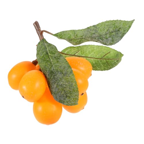 ibasenice Künstliches Loquat-dekorationsmodell Köpfe Kunststoff Für Fotografie Und Innendekoration Nachbildung Für Stilvolle Präsentationen Und Wohnaccessoires ibasenice Künstliches Loquat-dekorationsmodell Köpfe Kunststoff Für Fotografie Und Innendekoration Nachbildung Für Stilvolle Präsentationen Und Wohnaccessoires von ibasenice
