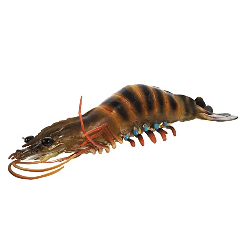 ibasenice Simulation Garnelenmodell Krabbenspielzeug Aquarium Badespielzeug Ornamente Für Für Babys Kinderspielzeug Lebensmittel Dekoratives Kinderspielzeug Kinderzubehör Kunststoff ibasenice Simulation Garnelenmodell Krabbenspielzeug Aquarium Badespielzeug Ornamente Für Für Babys Kinderspielzeug Lebensmittel Dekoratives Kinderspielzeug Kinderzubehör Kunststoff von ibasenice