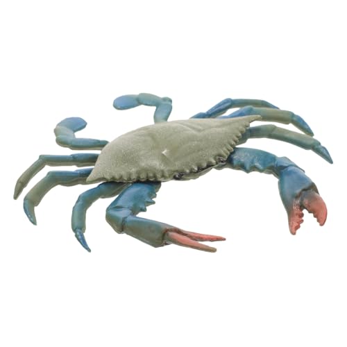 ibasenice Simulation Krabbenmodell Für Aquarien Dekoration Kleine Krabbe Für Fischtank Spielzeug Für Lebensecht Und Detailgetreu Für Meeresbiologie-Fans von ibasenice