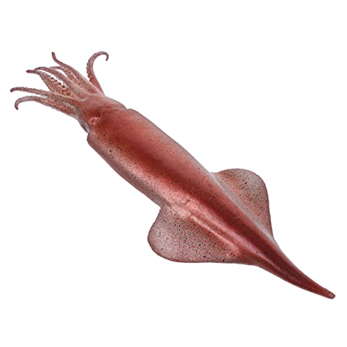 ibasenice Simulation Lebensmittelspielzeug Aus Kunststoff Essensrequisiten Spielzeugnahrung Für Künstlicher Calamari Ernährungsmodelle Für Den Unterricht Essen PVC von ibasenice