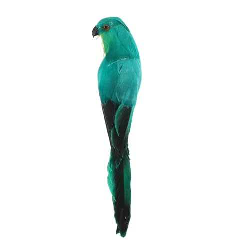 ibasenice Simulation Papagei Ornament Simulationsvogelfigur Gefälscht Papageienspielzeug Dekoration Weihnachten Künstliche Papageien Vogel- Papagei Green Künstliche Feder ibasenice Simulation Papagei Ornament Simulationsvogelfigur Gefälscht Papageienspielzeug Dekoration Weihnachten Künstliche Papageien Vogel- Papagei Green Künstliche Feder von ibasenice