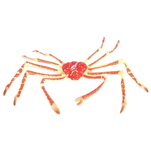 ibasenice Simuliertes Meereslebewesen Krabbenmodell aus Kunststoff Lebensechte Krebsfigur für Pädagogisches Dekoratives Meeres Tier Geschenk für Jungen und Mädchen ibasenice Simuliertes Meereslebewesen Krabbenmodell aus Kunststoff Lebensechte Krebsfigur für Pädagogisches Dekoratives Meeres Tier Geschenk für Jungen und Mädchen von ibasenice