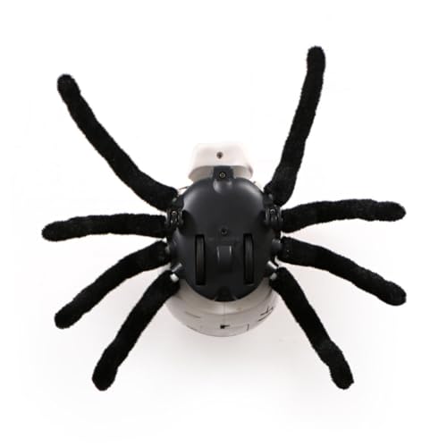 ibasenice Spinnenspielzeug Ziehen Um Streich Fernbedienung Klein Realistische Spielzeugspinne Schädelverzierung Halloween-spinnendekorationen Brown ibasenice Spinnenspielzeug Ziehen Um Streich Fernbedienung Klein Realistische Spielzeugspinne Schädelverzierung Halloween-spinnendekorationen Brown von ibasenice