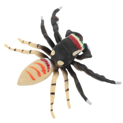 ibasenice Spinnenspielzeugmodell Halloween-streich-Requisiten Halloween-spinnenspielzeug Vogelspinne-Spielzeug Lernspielzeug Für Tiere Lebensechtes Tier Künstlich Plastik Kind Statue von ibasenice