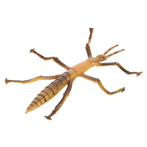 ibasenice Plastikspielzeug Realistisches Insektenmodell Spielzeug Für Kinder Einzigartiges Lernen Und Spielzeug ibasenice Plastikspielzeug Realistisches Insektenmodell Spielzeug Für Kinder Einzigartiges Lernen Und Spielzeug von ibasenice