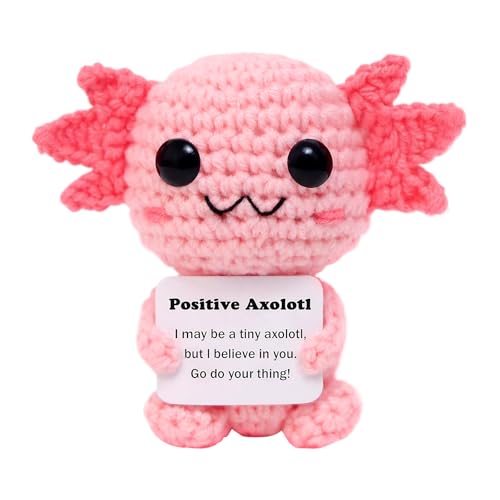 iewrtcin Crochet Salamander - Positive Emotionale Unterstützung Häkeltier mit inspirierender Karte, aufmerksames Geschenk für Lehrer, Freunde & Familie (Rosa) von iewrtcin