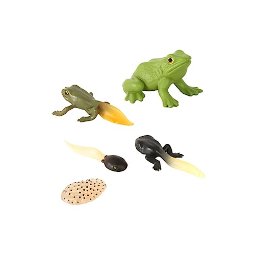 ifundom 1 Satz Dekoration tierfiguren Cute Decor bastelzeug The Craft Tiermodelle Tiere Kaninchenspielzeug Kinderspielzeug Frosch klein Plüsch Gecko Kaulquappen-Ornament Kaulquappen-Modell ifundom 1 Satz Dekoration tierfiguren Cute Decor bastelzeug The Craft Tiermodelle Tiere Kaninchenspielzeug Kinderspielzeug Frosch klein Plüsch Gecko Kaulquappen-Ornament Kaulquappen-Modell von ifundom