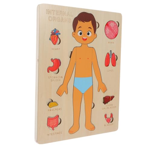 ifundom 1 Satz Menschliche Körperstruktur Puzzlespielzeug Puzzlekleber Spielzeuge Puzzle Sortierschalen Werkzeug Puzzlematte Hilfsmittel Für Den Kindergarten Holz ifundom 1 Satz Menschliche Körperstruktur Puzzlespielzeug Puzzlekleber Spielzeuge Puzzle Sortierschalen Werkzeug Puzzlematte Hilfsmittel Für Den Kindergarten Holz von ifundom