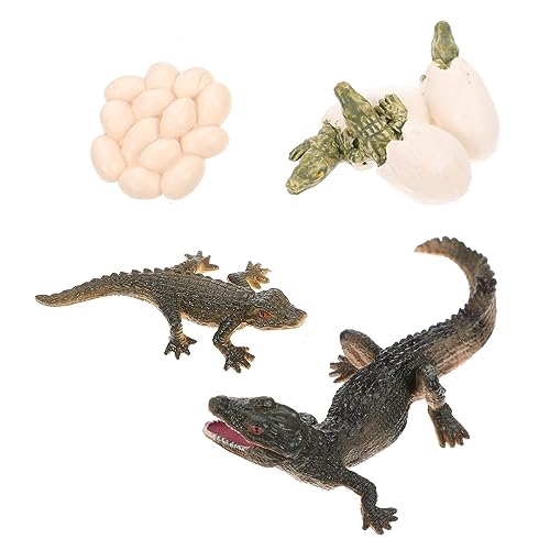 ifundom Lebenszyklus-lernspielzeug Für Jungen Und Mädchen Realistisches Modell Tier-früherziehungsmodell Für Jungen Und Mädchen von ifundom