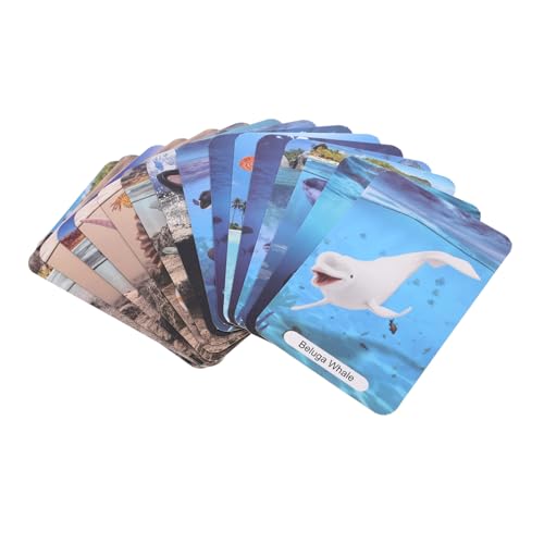 ifundom 1 Satz Ozeankarte Tierkarten Kleinkindlernkarten Memory-Spielkarte Spielkarten Für Den Kindergarten Karten Für Kleinkinder Lernkarten Für Tiere Meeresspielzeug Für Papier ifundom 1 Satz Ozeankarte Tierkarten Kleinkindlernkarten Memory-Spielkarte Spielkarten Für Den Kindergarten Karten Für Kleinkinder Lernkarten Für Tiere Meeresspielzeug Für Papier von ifundom