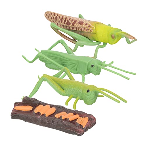 ifundom Frühlernspielzeug-Set Tier-lebenszyklus-Modelle Realistische Tierfiguren Für Kinder Spielzeug Pädagogische Tierzyklus-Figuren Für Kleinkinder ifundom Frühlernspielzeug-Set Tier-lebenszyklus-Modelle Realistische Tierfiguren Für Kinder Spielzeug Pädagogische Tierzyklus-Figuren Für Kleinkinder von ifundom
