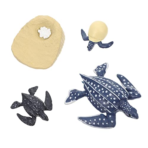 ifundom Pädagogisches Spielzeug Modell Set Tier Wachstum Modelle Spielzeug Echte Schildkröten Formen von ifundom
