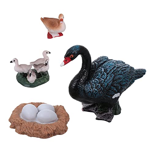 ifundom Lebenszyklus-Spielzeug-Set 1 Set Simulierte Tiermodelle Schwanenspielzeug Babyspielzeug Nutztierspielzeug ifundom Lebenszyklus-Spielzeug-Set 1 Set Simulierte Tiermodelle Schwanenspielzeug Babyspielzeug Nutztierspielzeug von ifundom