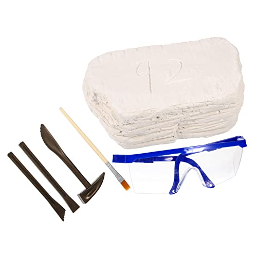 ifundom 1 Set Von Dinosaurier Spielzeug Für Jungen Dinosaurier Dig Spielzeug Ausgrabung Kit Pädagogisches Lernen Spielzeug von ifundom