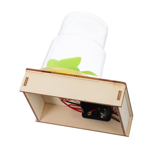 ifundom 1 Set DIY Sandsturm Simulationswissenschaftsexperiment Kit Für Praktisches Physik Lernspielzeug Für Schulprojekte Und Heimaktivitäten Ideal Für Kleine Entdecker von ifundom