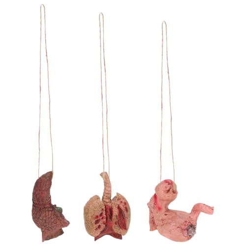 ifundom Halloween Terror Hand Requisiten 3pcs Simulierte Hände Realistische Menschliche Organ Material Handgemachte Textur von ifundom