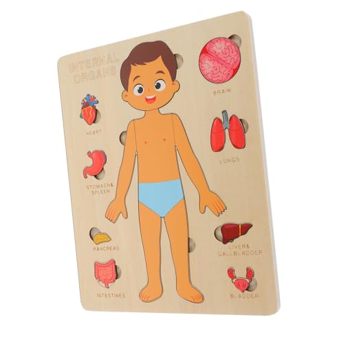 ifundom 1 Set Puzzle Tools Zur Struktur des Menschlichen Körpers Für Puzzles Kinderwerkzeuge Kinderspielzeug Organe des Menschlichen Körpers Puzzle Kindererkennungsspielzeug von ifundom