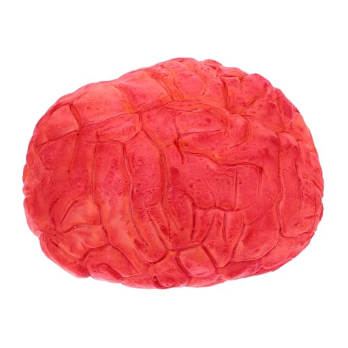 ifundom 1 Stück Halloween-Simulations-Gehirn Körper Halloween-Gehirn Netz Halloween Dekoration Gehirn Gruselige Halloween Requisiten Halloween menschliches Organ Gehirn-Halloween Vinyl rot von ifundom