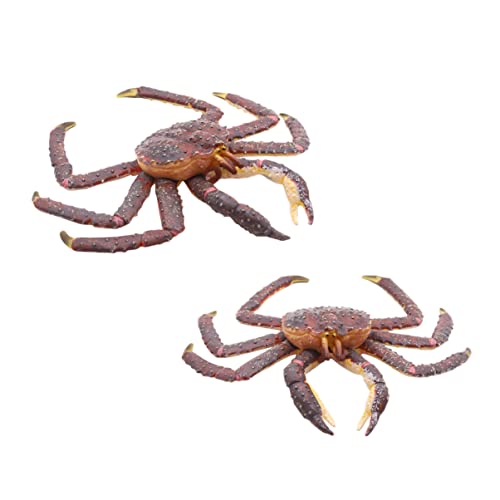 ifundom 1stück Kunststoff Krabbenmodell Spielzeug Für Mädchen Tiere Dekoration Lernspielzeug Für Kleinkinder Tischornament Für Kompakte von ifundom