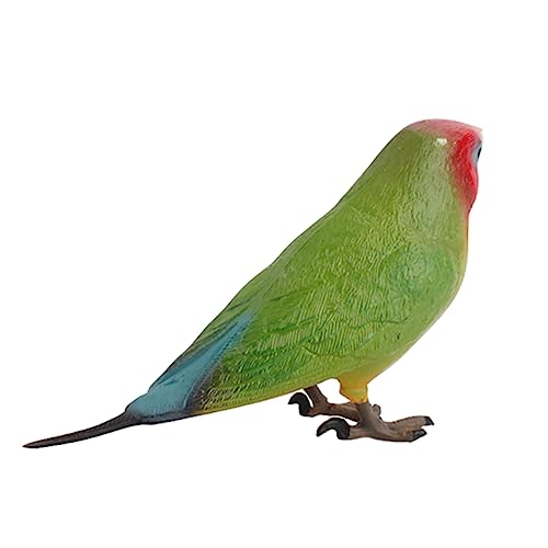 ifundom 1 Stück Papagei Modell Desktop-Dekoration Modell Einer Papageienfigur Lehrhilfe Vogelmodell Vögel Modell Desktop-schmuck Für Kunsthandwerk Bunt Plastik ifundom 1 Stück Papagei Modell Desktop-Dekoration Modell Einer Papageienfigur Lehrhilfe Vogelmodell Vögel Modell Desktop-schmuck Für Kunsthandwerk Bunt Plastik von ifundom