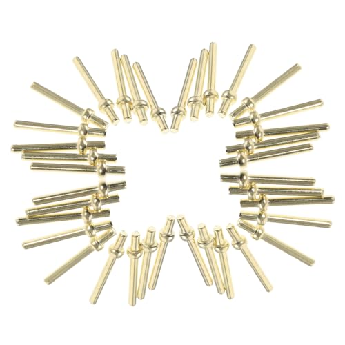 ifundom 100 Stück Kartenspielpin Punktestifte Cribbage-brettspiel Klammern Für Kinderbettbretter Anbindung Brettspiel Mit Klammern Name Krippenbrettklammern Eisen Golden ifundom 100 Stück Kartenspielpin Punktestifte Cribbage-brettspiel Klammern Für Kinderbettbretter Anbindung Brettspiel Mit Klammern Name Krippenbrettklammern Eisen Golden von ifundom