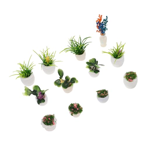 ifundom 12 Stücke Miniatur Puppenhaus Halloween Pflanze Blumentopf Realistische Outdoor Puppenhaus Dekoration Mini Ornament von ifundom