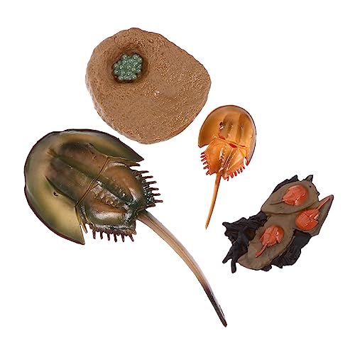 ifundom Simulation Spielzeug Satz für Kinder Realistische Kleiner Meerestiere als Schreibtisch Ornament und Lernspielzeug Fördert Kognitive Fähigkeiten und Naturerfahrung ifundom Simulation Spielzeug Satz für Kinder Realistische Kleiner Meerestiere als Schreibtisch Ornament und Lernspielzeug Fördert Kognitive Fähigkeiten und Naturerfahrung von ifundom