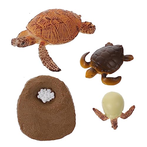 ifundom 1Satz Schildkröten Wachstumszyklus Modelle Lernspielzeug für Fantasie und Naturwissenschaften Realistische Figuren zur Kognitiven Entwicklung von ifundom