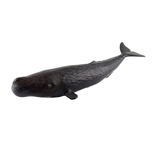 ifundom 1Stk Lernspielzeug für kinderspielzeug Toys hühner kinderknallzeug spielzeuge für Kid Toys Spielzeugtiere für Black ifundom 1Stk Lernspielzeug für kinderspielzeug Toys hühner kinderknallzeug spielzeuge für Kid Toys Spielzeugtiere für Black von ifundom