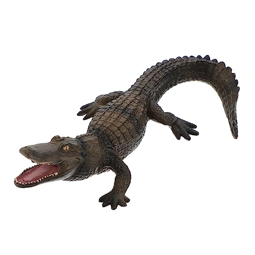 ifundom 1Stück Krokodil Figur Pädagogisches für Frühe Bildung Realistisches Tiermodell zur des Natürlichen Bewusstseins bei Kindern für Heimdekoration und Spielplatz von ifundom