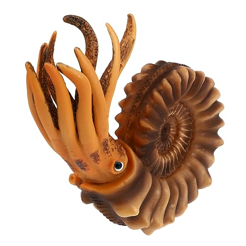 ifundom Nautilus-Modell – Pädagogisches Tierspielzeug – Massiver Rechtwinkliger Stein – Schreibtischdekor Aus Kunststoff Für Kinder von ifundom