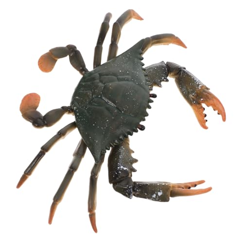 ifundom Lernspielzeug Krabbenmodell Meerestiere Spielzeug Jungen Und Mädchen Spielzeug Sichere Krabbenfigur Aus Kunststoff Für Kinder ifundom Lernspielzeug Krabbenmodell Meerestiere Spielzeug Jungen Und Mädchen Spielzeug Sichere Krabbenfigur Aus Kunststoff Für Kinder von ifundom