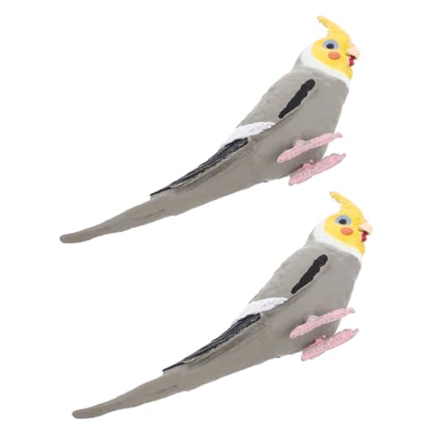 ifundom 2 Kleine Vogelfiguren Realistisches Papageienmodell Modell Simulierte Tierfigur Für Feen Terrarium Basteln Gartenzubehör Mikro Landschaftsdekor ifundom 2 Kleine Vogelfiguren Realistisches Papageienmodell Modell Simulierte Tierfigur Für Feen Terrarium Basteln Gartenzubehör Mikro Landschaftsdekor von ifundom
