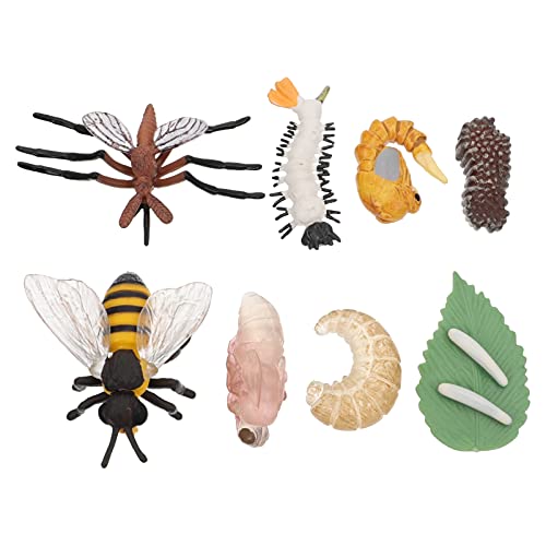 ifundom 2 Sets Simulation Wachstumszyklus Figuren Tierbabys Babyspielzeug Mini Plüschtier Froschspielzeug Mädchen Kleinkindspielzeug Tierleben Wachstumszyklus Modell Outdoor Zoo ifundom 2 Sets Simulation Wachstumszyklus Figuren Tierbabys Babyspielzeug Mini Plüschtier Froschspielzeug Mädchen Kleinkindspielzeug Tierleben Wachstumszyklus Modell Outdoor Zoo von ifundom