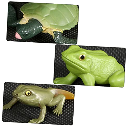 ifundom 2 Sets Verschiedene Stadien Der Tierevolution Kinderspielzeug Für Tiere Froschmodelle Dekoration Schildkrötenspielzeug Schildkrötenwachstumsmodell von ifundom
