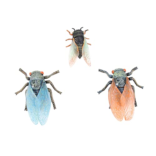ifundom 2 Sätze Zikadenmodell Spielzeug Plastik Halloween-Dekor Modelle Spielzeuge realistische Insektenfigur Evolutionsmodell der Insekten wild Zubehör Ornamente Requisiten Kind schmücken von ifundom