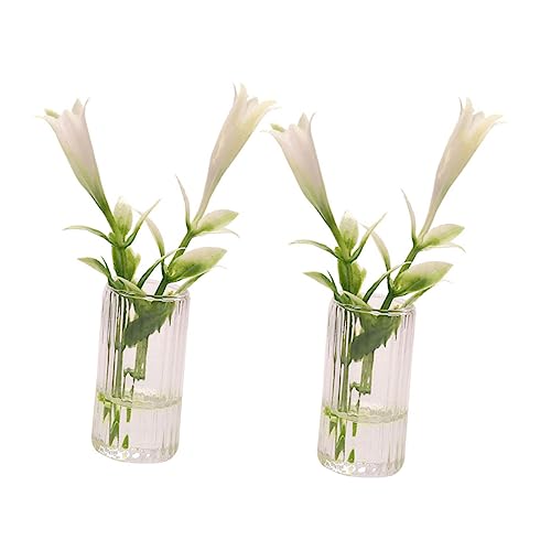 ifundom 2 Stücke Nachgemachte Pflanzen Figuren Mini-Pflanzen Vase künstliche Pflanzen Puppe kunstpflanze kunstplflanze verschleißfestes Blumendekor versorgen Plastik Weiß ifundom 2 Stücke Nachgemachte Pflanzen Figuren Mini-Pflanzen Vase künstliche Pflanzen Puppe kunstpflanze kunstplflanze verschleißfestes Blumendekor versorgen Plastik Weiß von ifundom