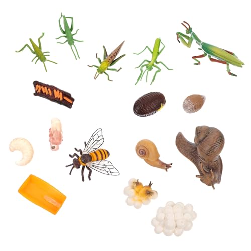 ifundom 20 Sätze Insektenmodell Lebenszyklus Einer Schnecke künstliches Tiermodell kinderzimmerdeko Room Decoration Modelle Spielzeug Bienenmodell Insektenevolutionsmodell Schnecken von ifundom