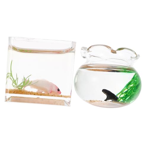 2St Mini-Glas-Koi Miniatur-Fischglas für Puppenhaus Desktop-Aquarium-Ornamente Spielzeug Modelle Miniatur-Aquarium Miniatur-Szenendekor Haustier Goldfischglas Koi-Panzer schmücken von ifundom