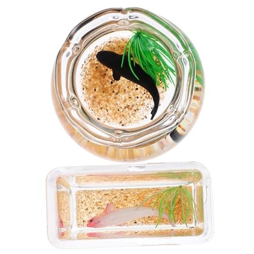 2St Mini-Glas-Koi Miniatur-Fischglas für Puppenhaus Desktop-Aquarium-Ornamente Spielzeug Modelle Miniatur-Aquarium Miniatur-Szenendekor Haustier Goldfischglas Koi-Panzer schmücken von ifundom