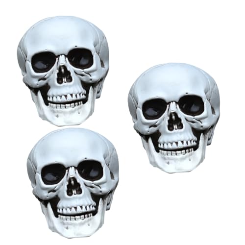 ifundom 3 STK Simulationsschädel Totenkopf-Dekor Schädel-Skelett-Handwerk Halloween kostüm zubehör Halloween kostüm Accessoires Spielzeug Spukhaus Ornament Halloween-Schädel-Dekor Modell von ifundom