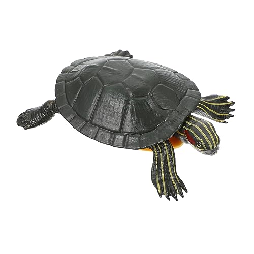 ifundom 3 Stück Realistisches Schildkrötenmodell Robustem für Lernspielzeug zur Tiererziehung Dekoration für Garten von ifundom