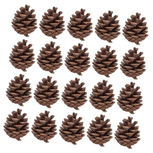 ifundom 30 Stück Party Kiefernornamente Weihnachtsdekorationen Weihnachtsmittelstücke Ornamente Für Den Weihnachtsbaum Herbstdekor Natürlicher Weihnachtsbaumschmuck Herbstornamente von ifundom
