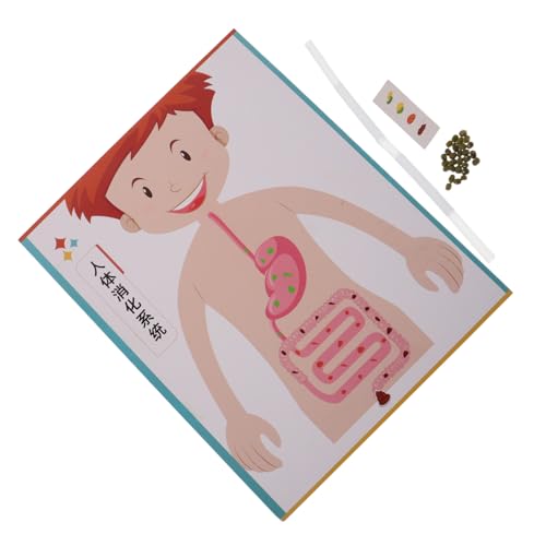 ifundom 4 Sätze DIY Digestive System Model für Interaktives Wissenschaftsexperiment Vorschule und Mittelstufe Fördert Eltern-Junge Mädchen-zusammenarbeit und Kreatives Lernen ifundom 4 Sätze DIY Digestive System Model für Interaktives Wissenschaftsexperiment Vorschule und Mittelstufe Fördert Eltern-Junge Mädchen-zusammenarbeit und Kreatives Lernen von ifundom