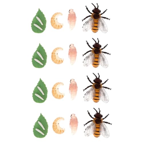ifundom 4 Sets Bienenwachstumsmodellfiguren Für Kinder Ausstellungsmodell Tierlebenszyklus Kit Bienenmodellsimulation Bienenlebenszyklus Bienenlebenszyklusfiguren Meeresspielzeug von ifundom
