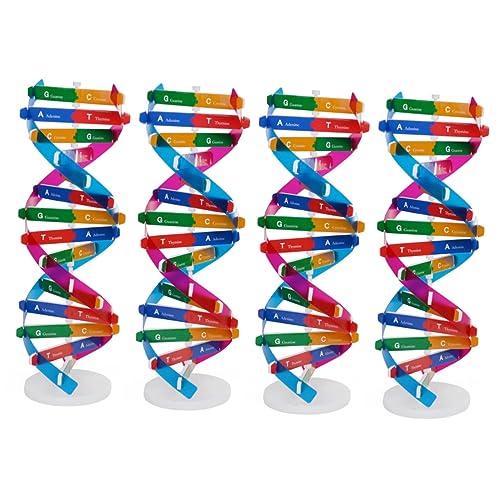 ifundom 4 Stück DNA-Modell Molekülmodell Lehrerbedarf Für Naturwissenschaften Gebäude DNA-Schreibtisch Kidcraft-spielset DNA-lernspielzeug DNA-rätsel DNA-Spiele Tier Einfach Kind Hölzern von ifundom