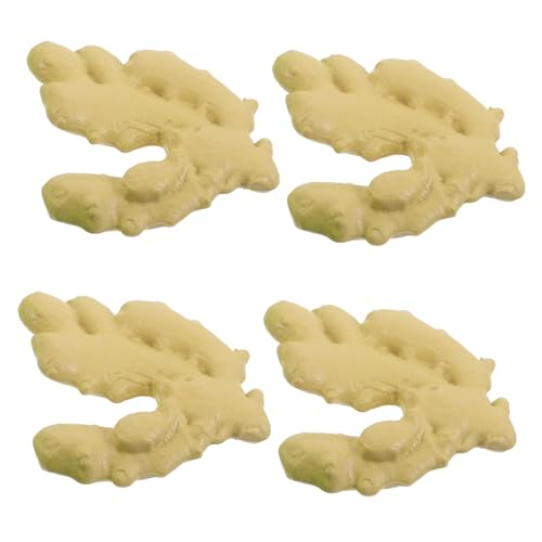 ifundom 4 Stück Lebensechte Ingwer-Modelle: Realistische Künstliche Ingwer-gemüse-Ornamente Für Küchendekoration, Fotografie-Requisiten Und Festival- ifundom 4 Stück Lebensechte Ingwer-Modelle: Realistische Künstliche Ingwer-gemüse-Ornamente Für Küchendekoration, Fotografie-Requisiten Und Festival- von ifundom