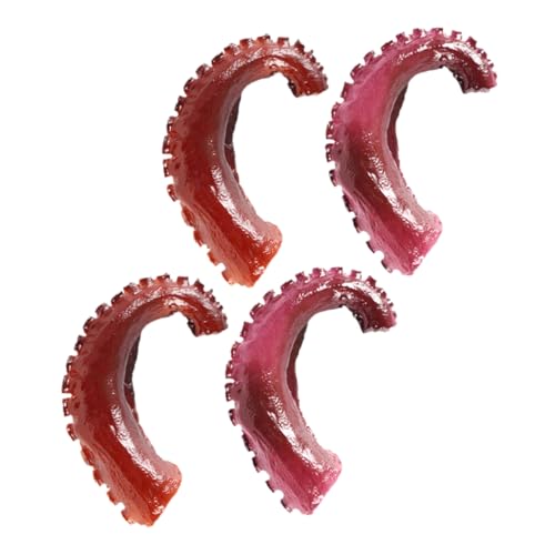 ifundom 4 Stück Simuliertes Krakenklauenspielzeug Gefälschte Lebensmittel Requisite Krakententakelmodell Künstliche Kleine Krakententakel Gefälschte Krakententakel Gefälschte ifundom 4 Stück Simuliertes Krakenklauenspielzeug Gefälschte Lebensmittel Requisite Krakententakelmodell Künstliche Kleine Krakententakel Gefälschte Krakententakel Gefälschte von ifundom